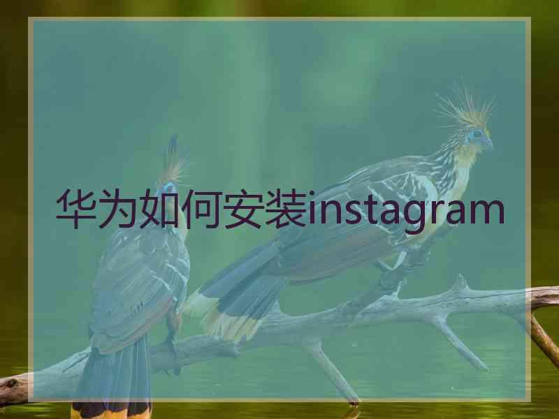 华为如何安装instagram