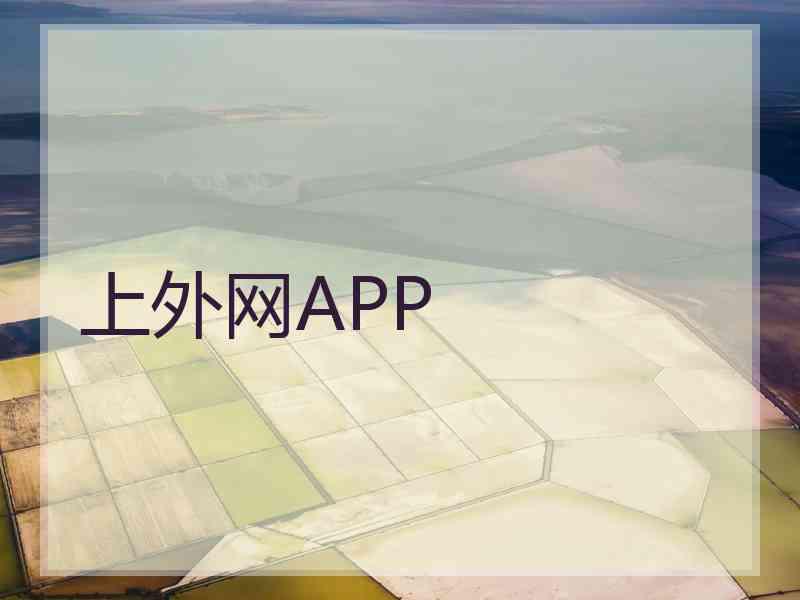 上外网APP