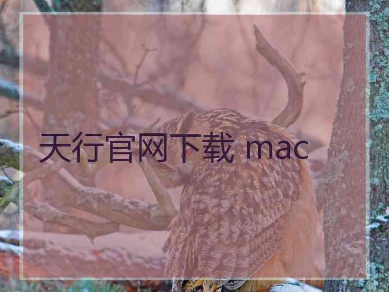 天行官网下载 mac