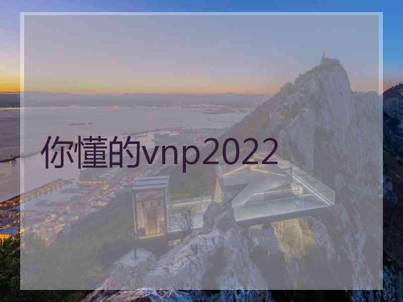 你懂的vnp2022