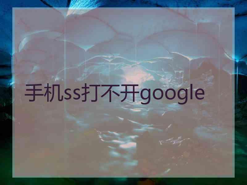 手机ss打不开google