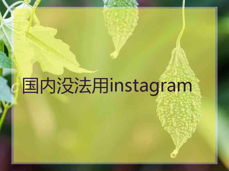 国内没法用instagram