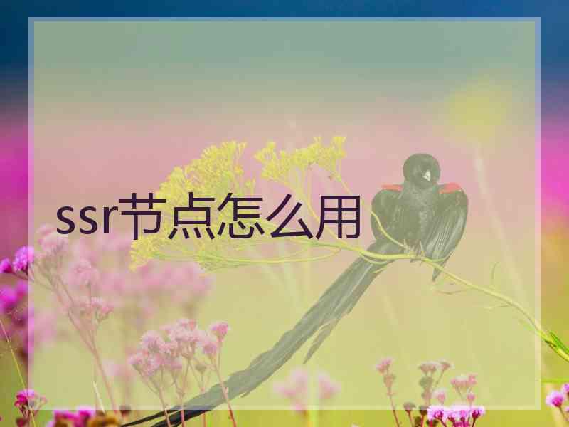 ssr节点怎么用