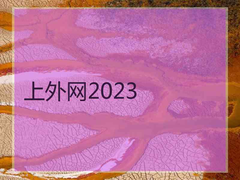 上外网2023