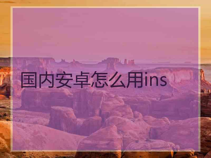 国内安卓怎么用ins