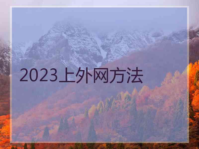 2023上外网方法