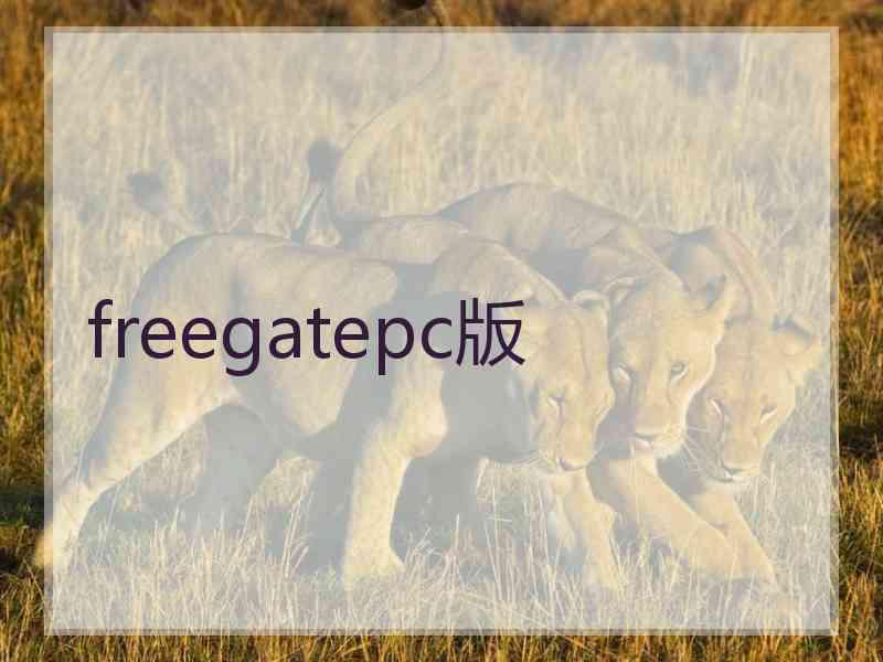 freegatepc版