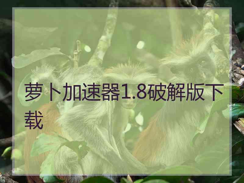 萝卜加速器1.8破解版下载