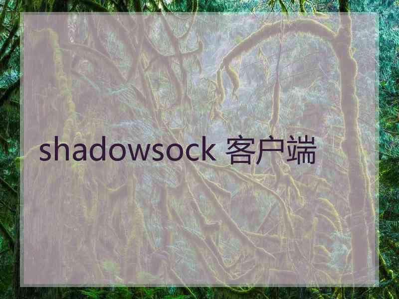 shadowsock 客户端