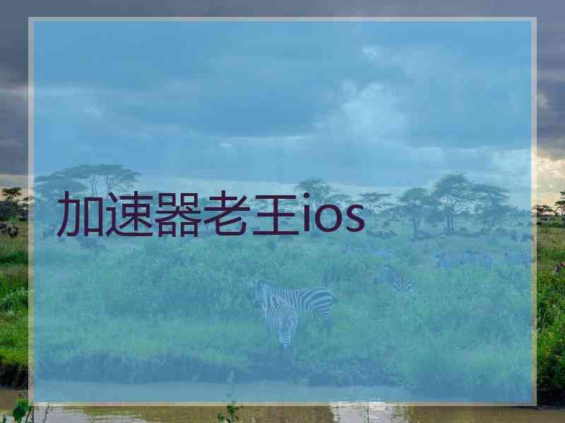 加速器老王ios