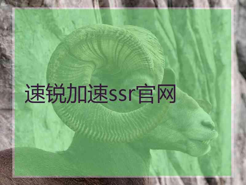 速锐加速ssr官网