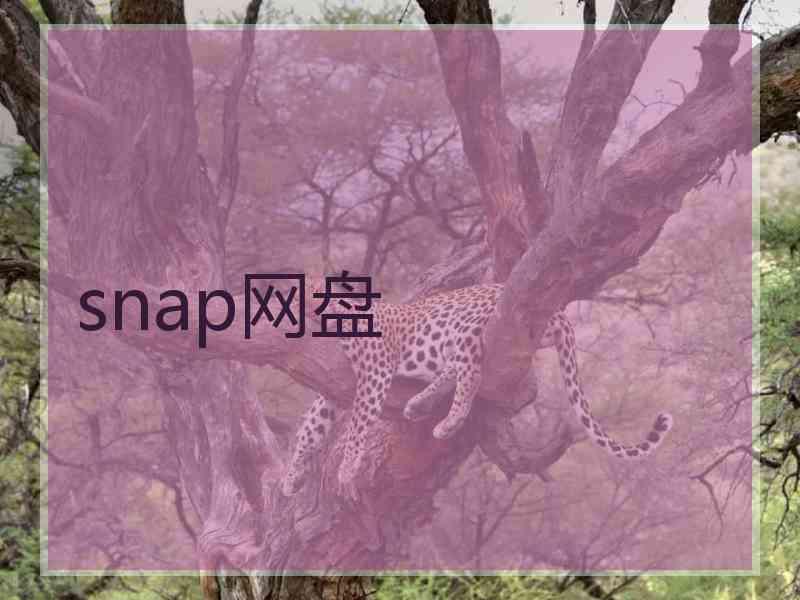 snap网盘