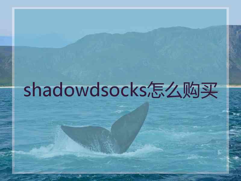 shadowdsocks怎么购买