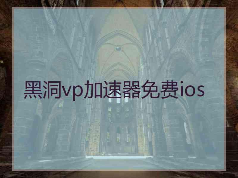 黑洞vp加速器免费ios