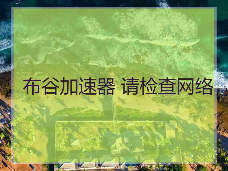 布谷加速器 请检查网络