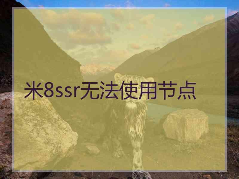 米8ssr无法使用节点