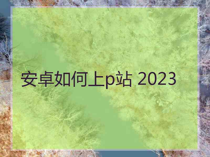 安卓如何上p站 2023