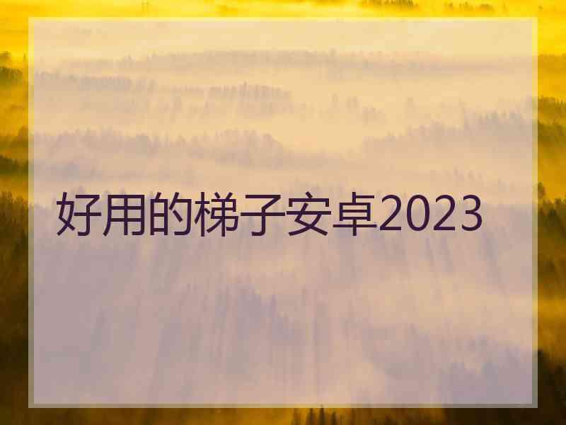 好用的梯子安卓2023