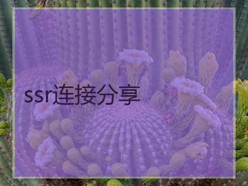 ssr连接分享