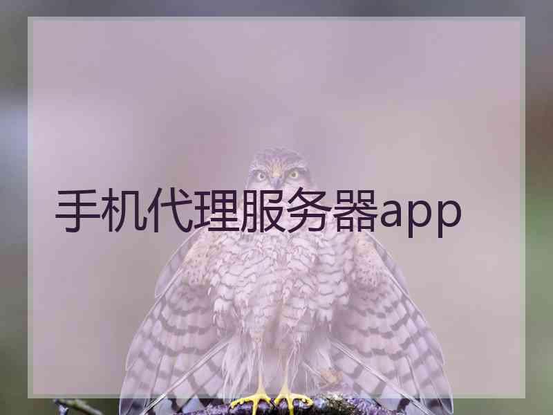 手机代理服务器app