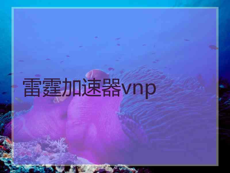 雷霆加速器vnp