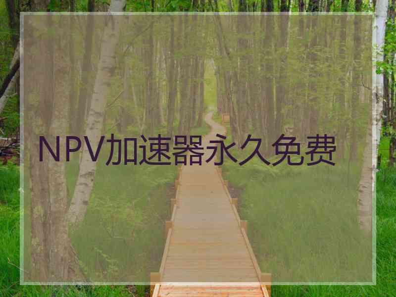 NPV加速器永久免费