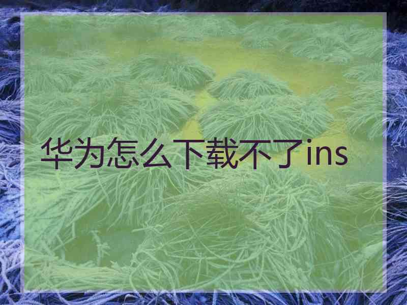 华为怎么下载不了ins