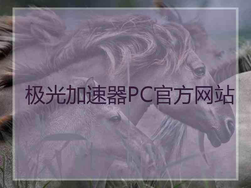 极光加速器PC官方网站