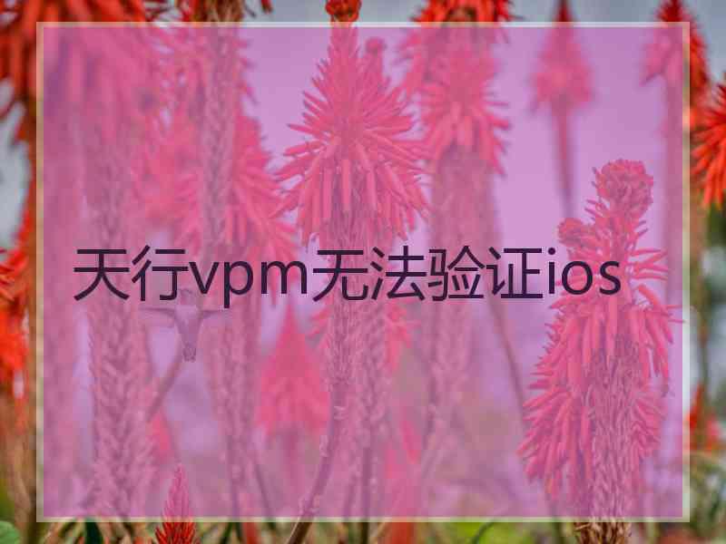 天行vpm无法验证ios