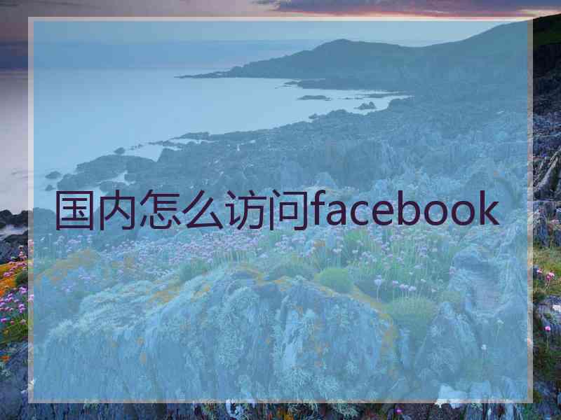 国内怎么访问facebook