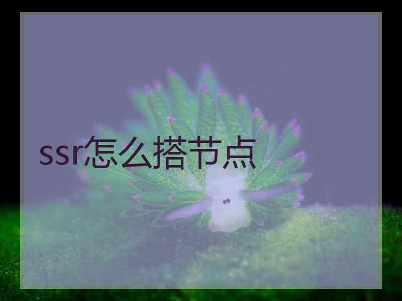 ssr怎么搭节点