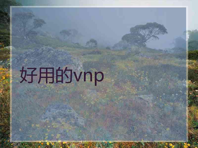 好用的vnp