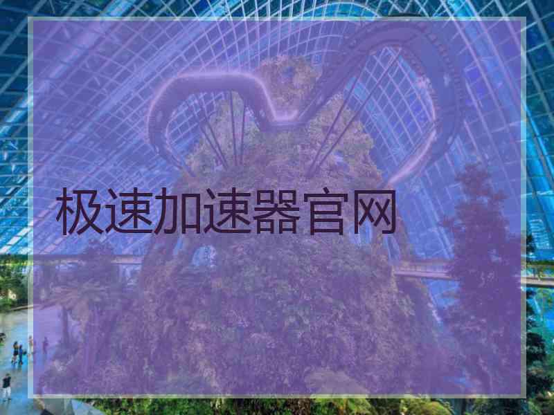 极速加速器官网