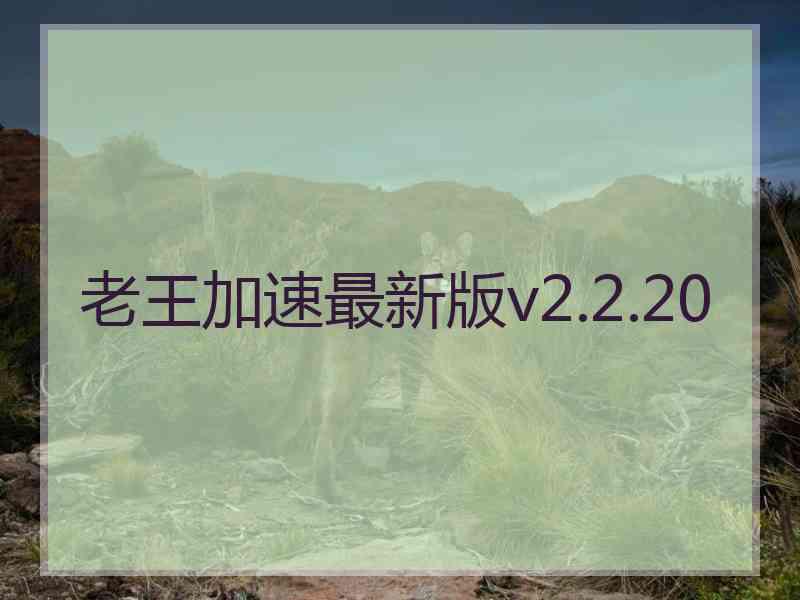 老王加速最新版v2.2.20