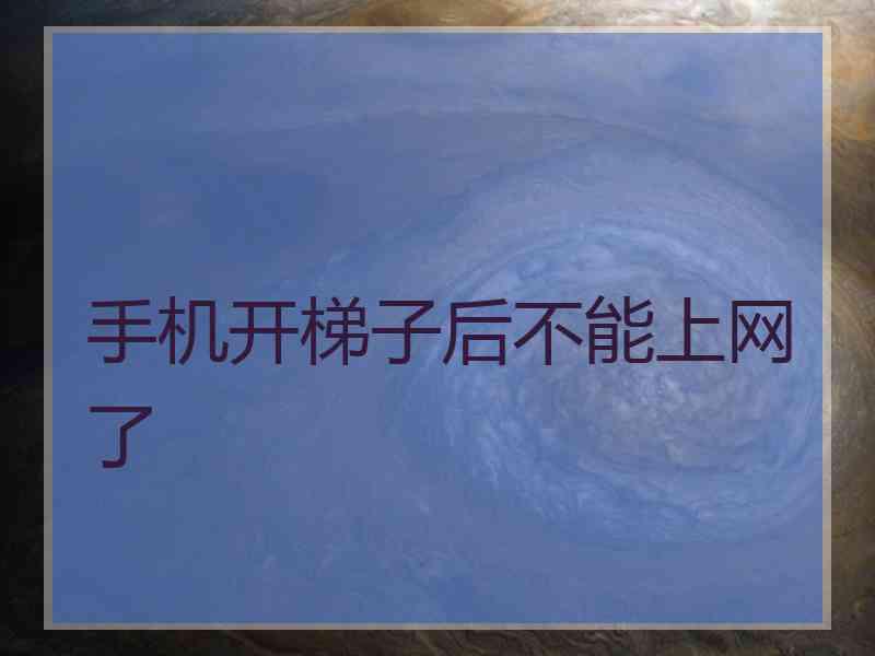 手机开梯子后不能上网了