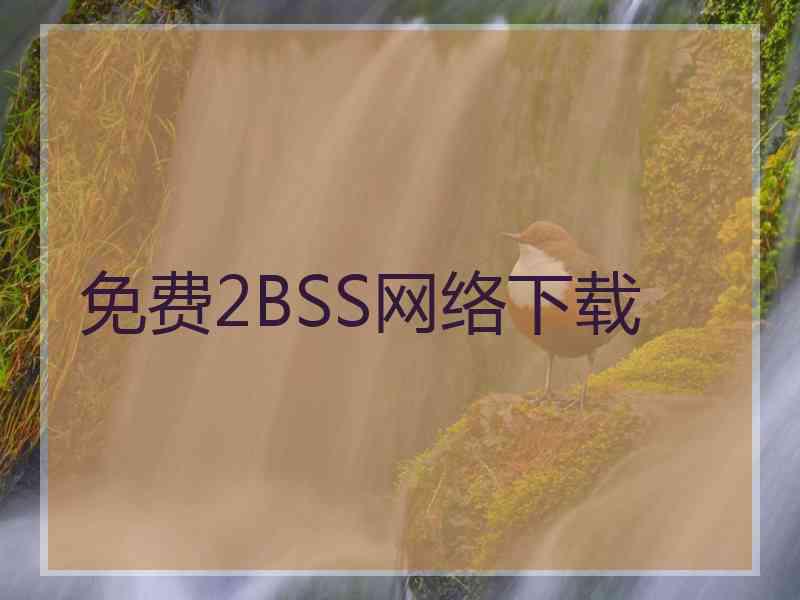 免费2BSS网络下载