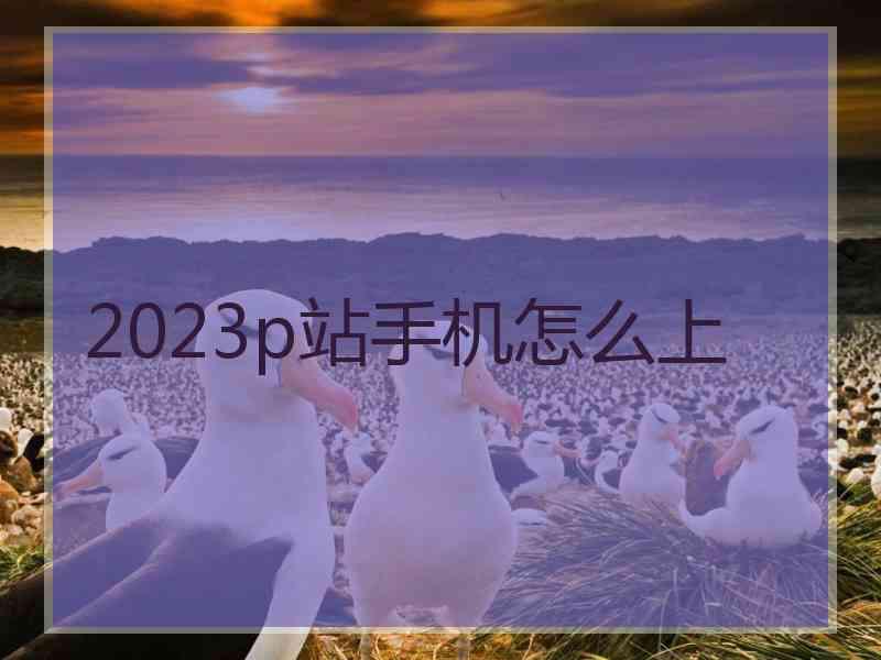 2023p站手机怎么上