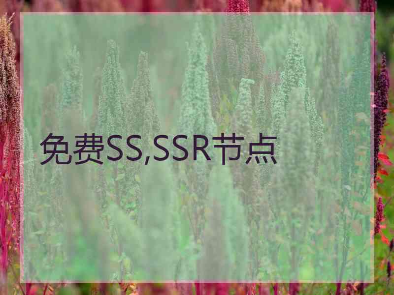 免费SS,SSR节点