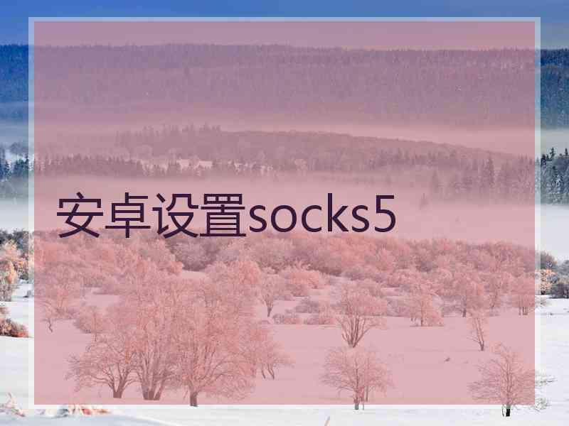 安卓设置socks5