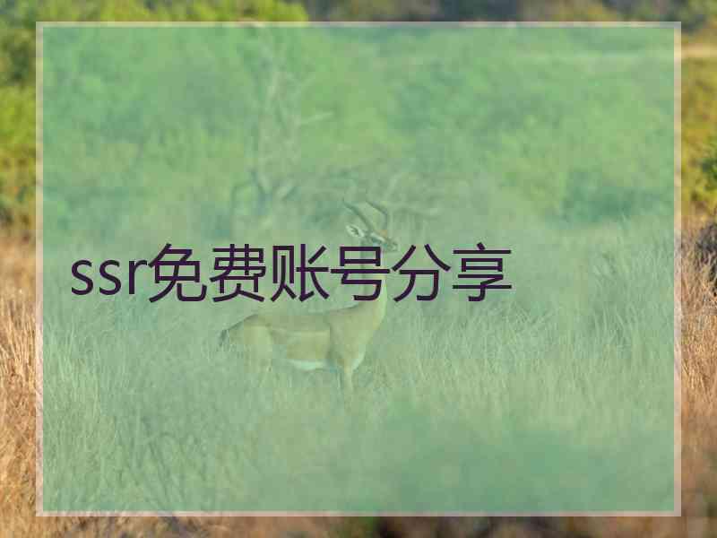 ssr免费账号分享