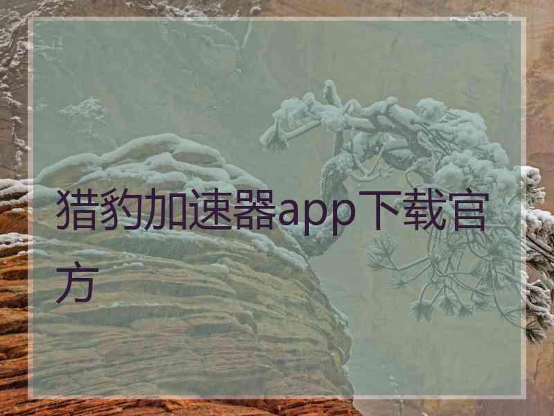 猎豹加速器app下载官方