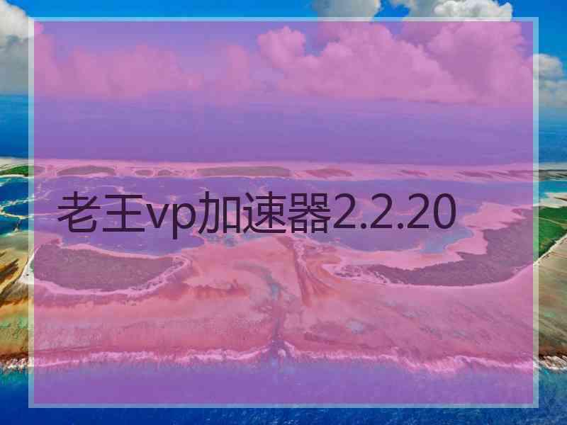 老王vp加速器2.2.20