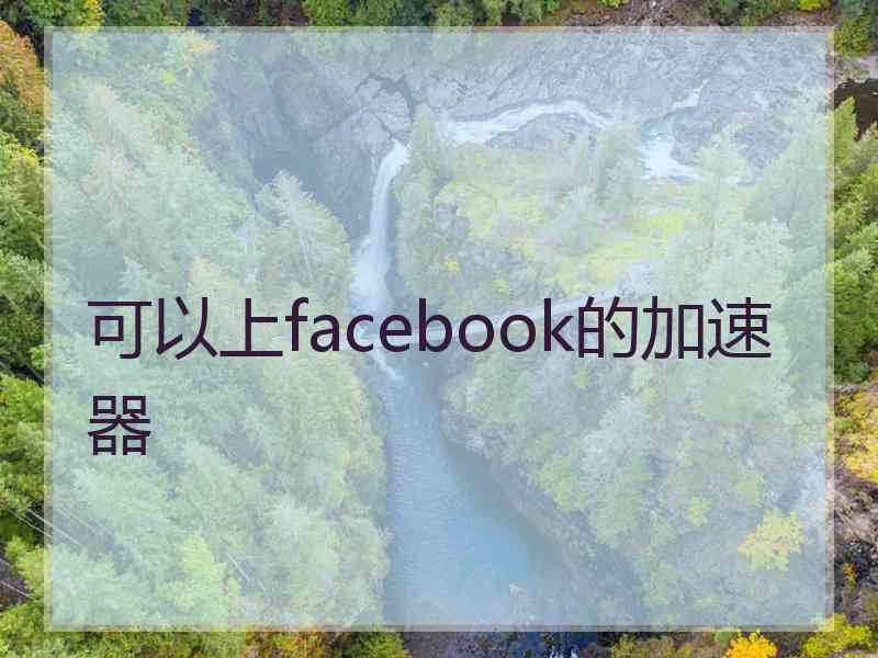 可以上facebook的加速器